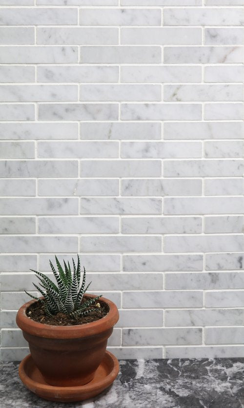 Venatino Carrara  Mini Brick